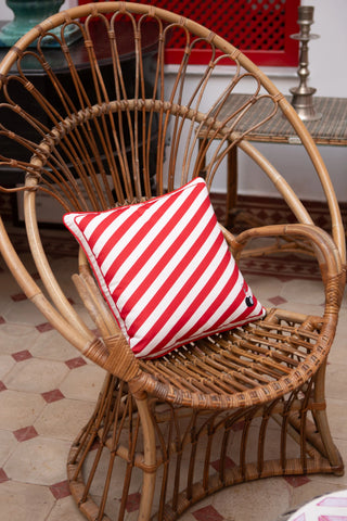 SPLENDID X GORGO IRUKA VOYAGE KIRLENT STRIPE